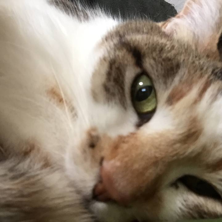 D33ba422 7242 4c31 8cf8 beefdac97489