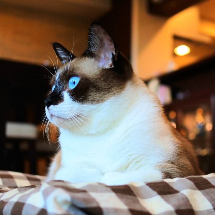 D33cf4fa 8a87 481e 886f e4992f3fb945