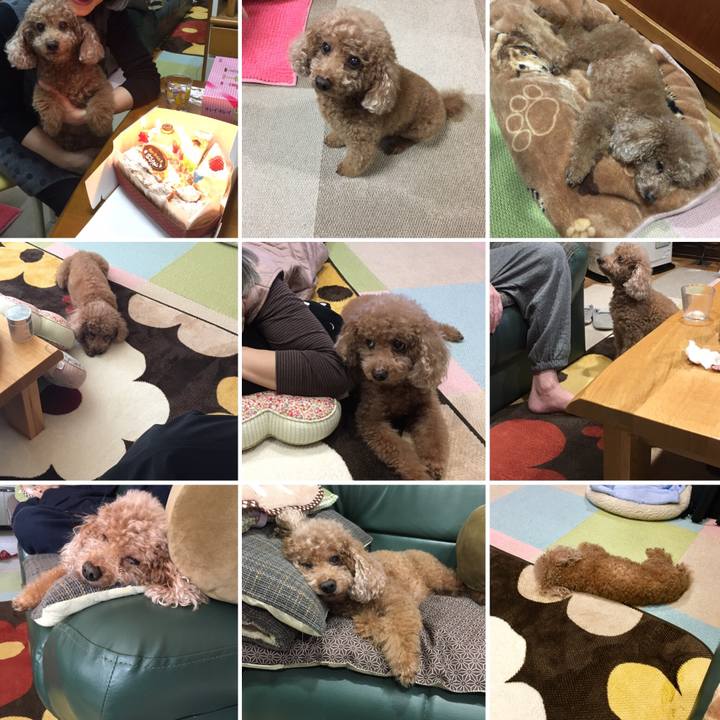 D33d64e4 d50d 443c bd35 3b5e086d8f8d