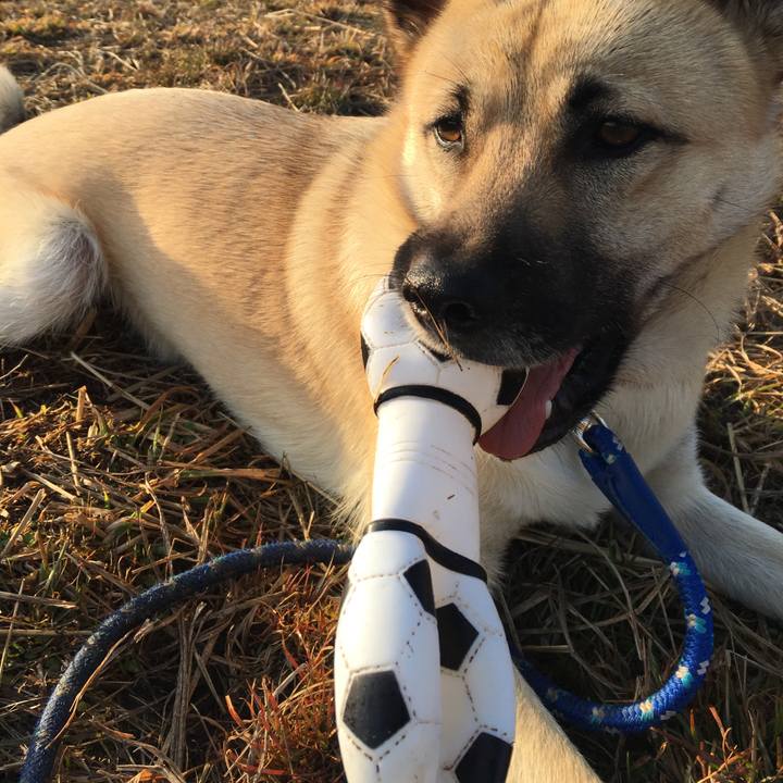 D33d7959 f408 451e 8e4f 05d02ce49182