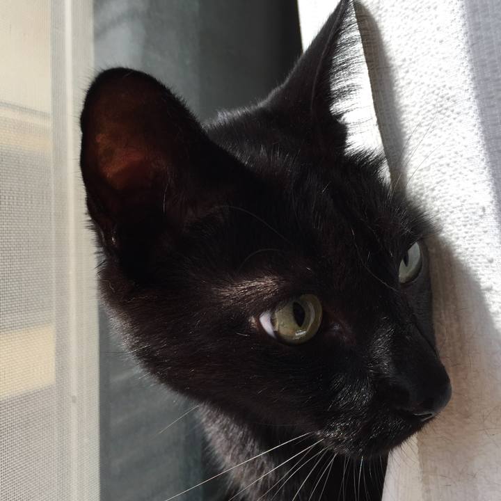 D33e0d46 e9d2 4c1a a845 36b3f52a615b