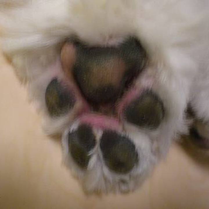 D33ea394 87a2 4396 860c f912434b3525