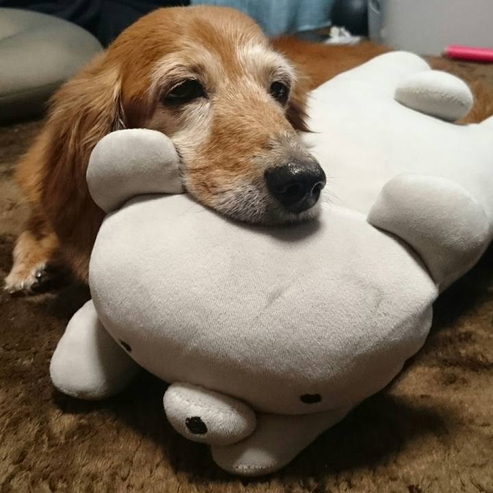 D33ec8fa 9190 4886 b032 db262878a946