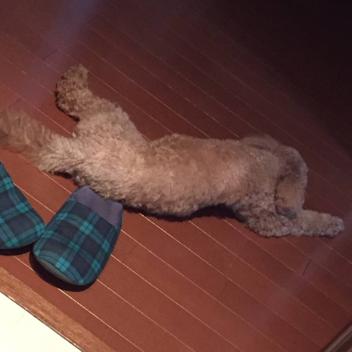 D33f3f97 1d30 407d a607 05ac5ba1d0e1