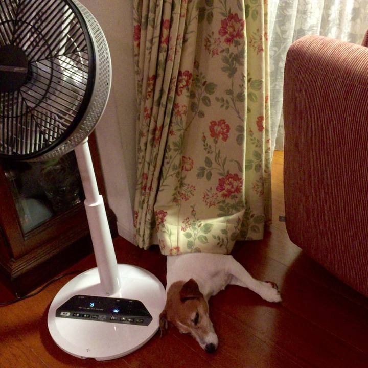 D33f54b9 bb33 4592 973e c3ae6dd7e648