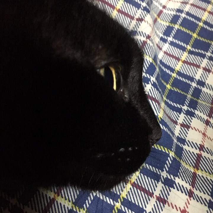 D33fc285 c95f 4d86 9961 4cdec36e1ab6