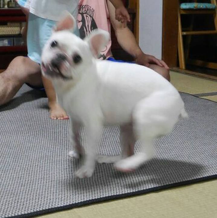 D3411254 d0f1 42ab 806d dae60ac086ba