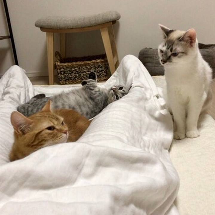 D341711f 1037 4828 900c 8c2359d41039