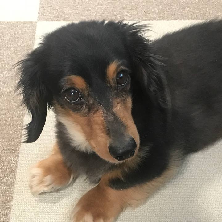 D3429642 d76a 4774 9f05 ba913f7d6f1b