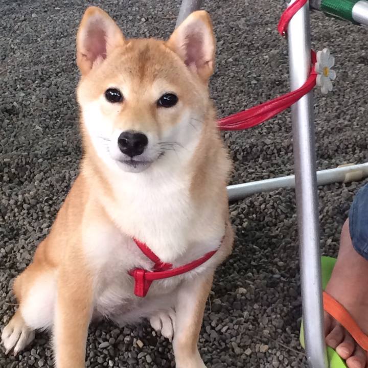 D3429841 dc10 45e2 a504 2ab93213da10