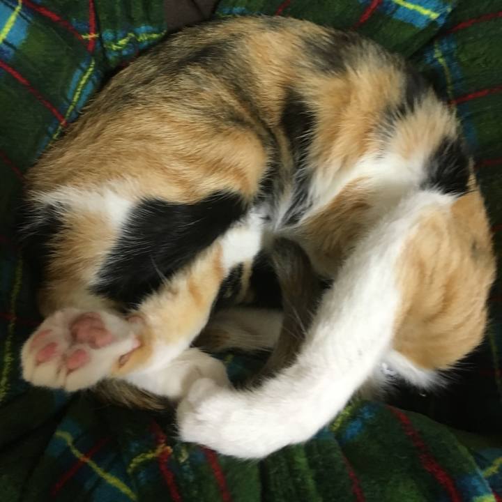 D342bcce 56d8 4aa6 85b2 0094d833dc49