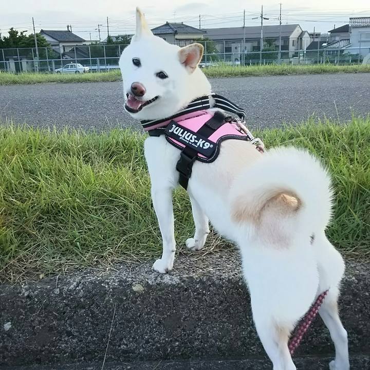 D342c715 4469 4d8e 9028 c4065fc3b88c