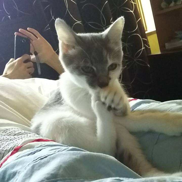 D343184f fbe4 4197 a9c3 e8938c31224f