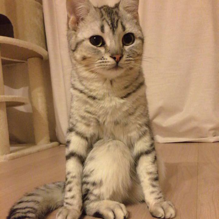 D3434f25 c7eb 4b3b a135 80987d06f65b