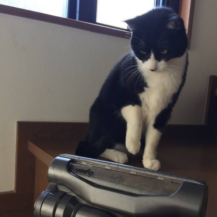 D3438b78 5b9f 4eec a2b3 2309b15011dc