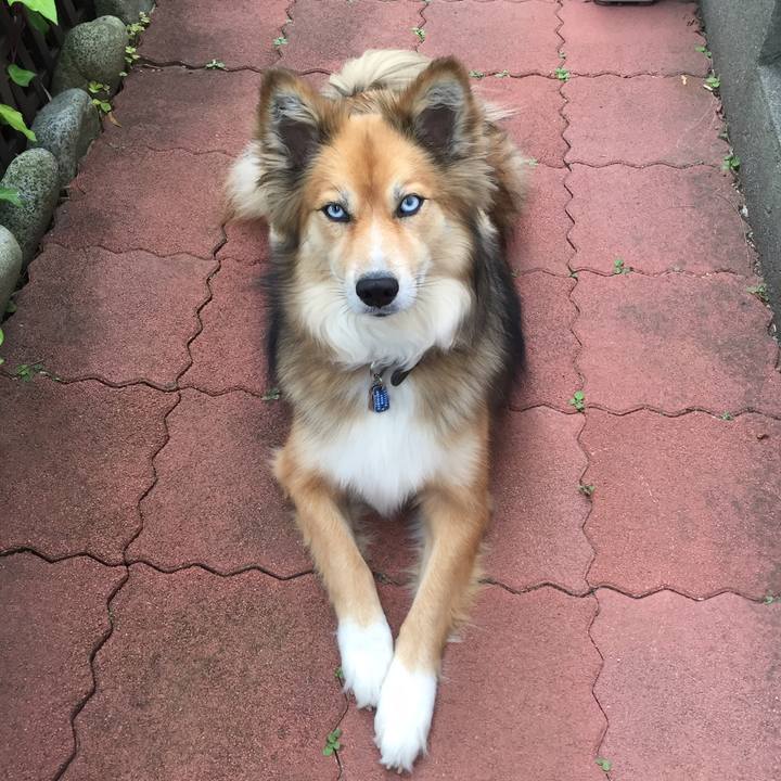 D343f563 6aac 4946 99d4 f7c7e762356b