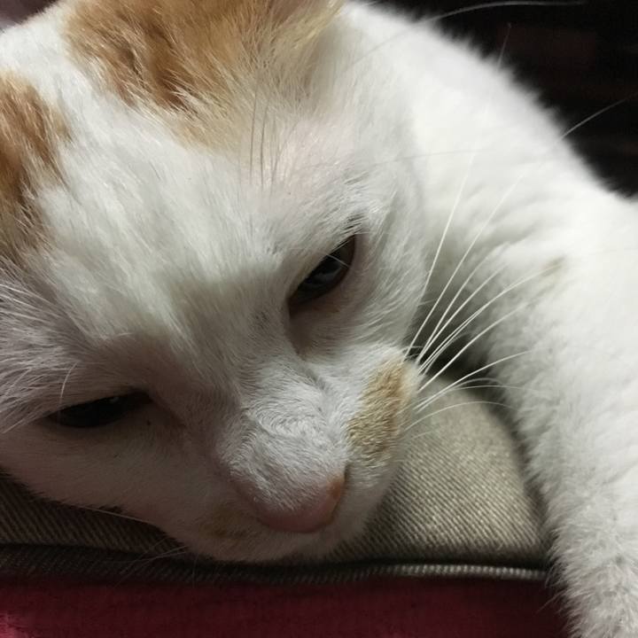 D344394a 54e7 4c30 90c8 fd0e03b866bf