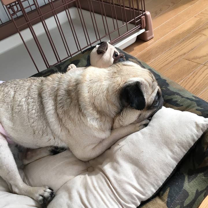 D3447f19 d492 4abf bbc4 45025d0cd5eb