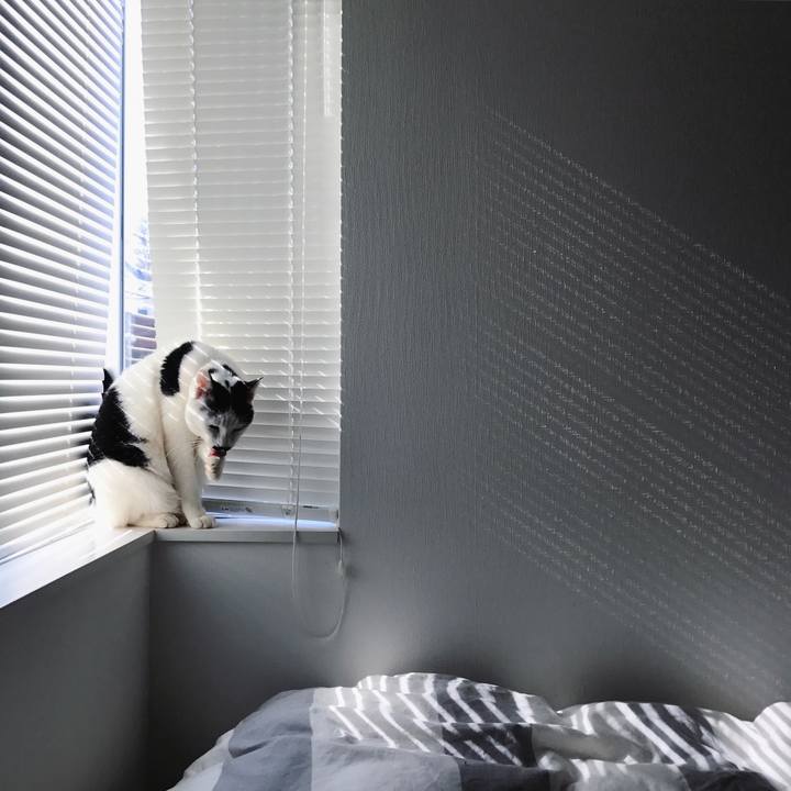 D344ea2b 2f1f 4e68 ac5b 6d0dab812fd7