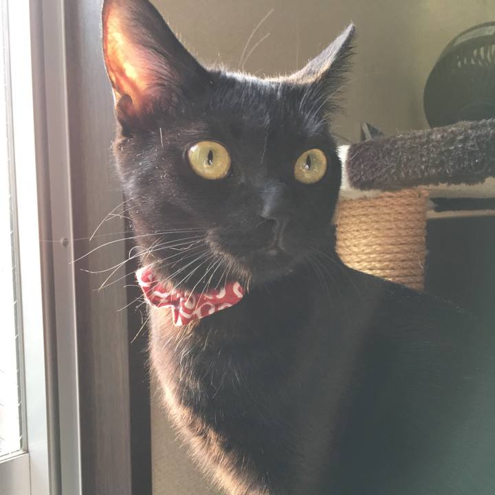 D34523d2 ee5f 4498 9b27 83d73450d3bc