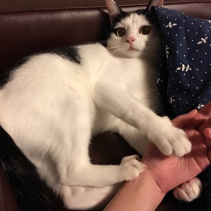 D345c3b8 9aee 494b 9dc8 52cdbe175cd8