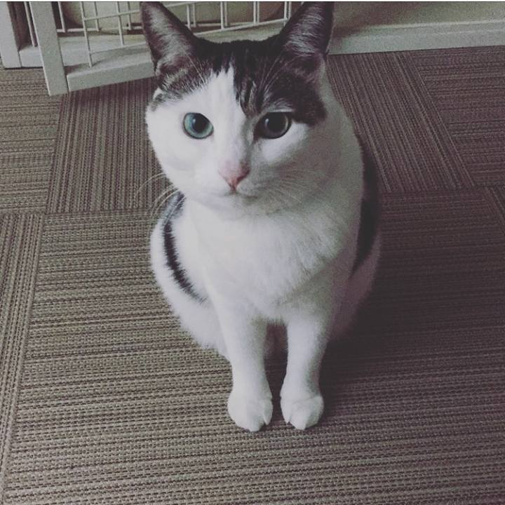 D34617e8 1d36 4c66 8ae3 6d1ef38748b3