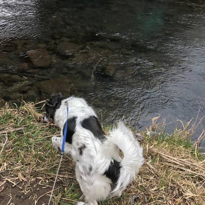 D346a6cb 10d4 4720 9f96 a1cabc7ed0ec