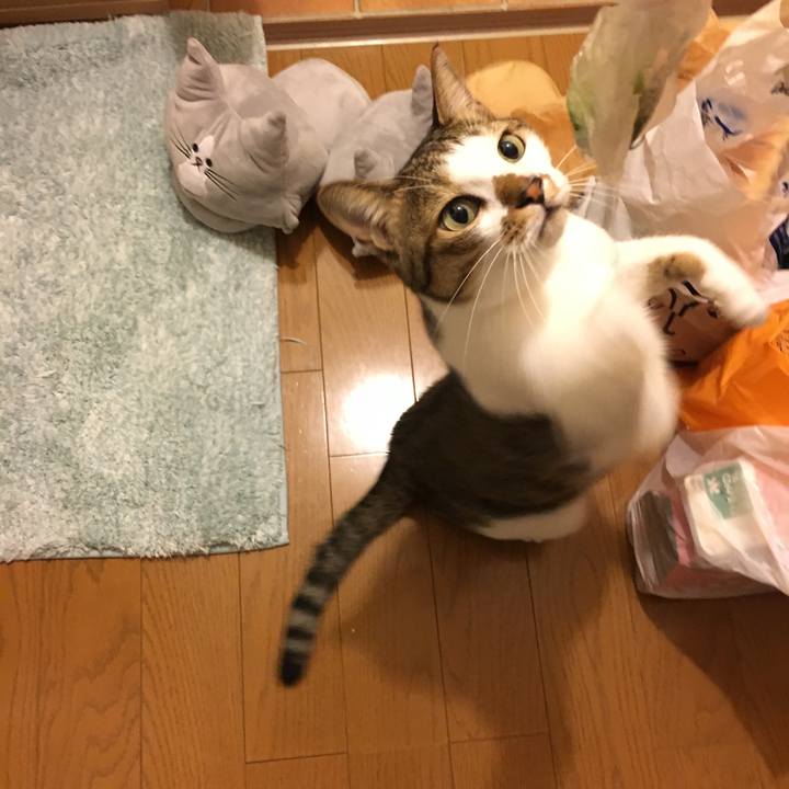 D347719c 4066 4748 a41d e61b4f576ca7