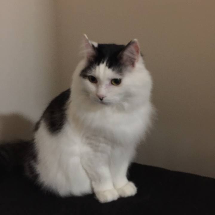 D347bb29 4619 4ce7 b906 d4546da8cf70