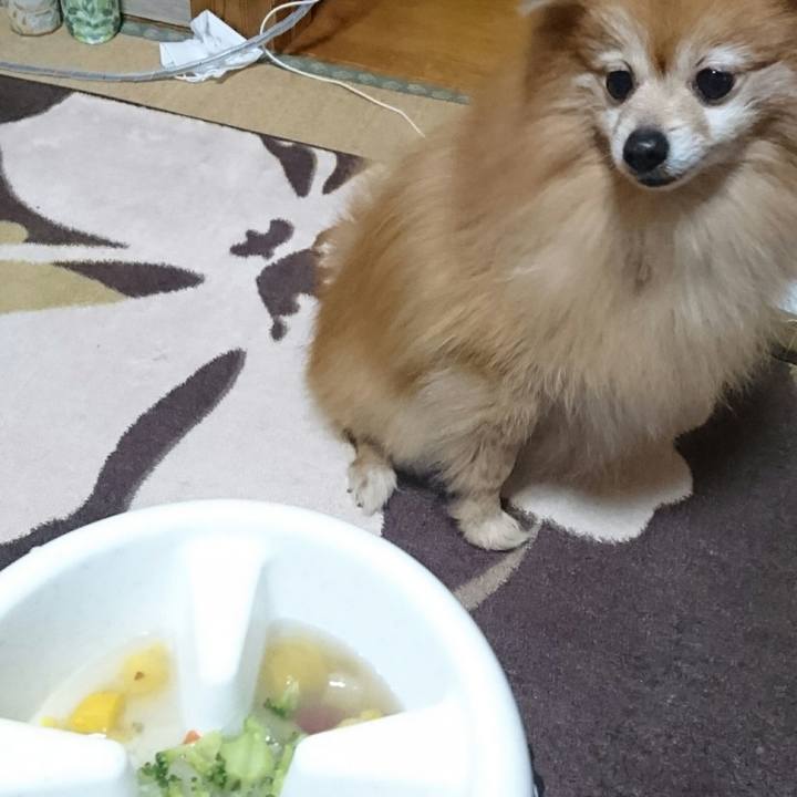 D3490625 bfca 4afd 8b13 623a97b87d8f