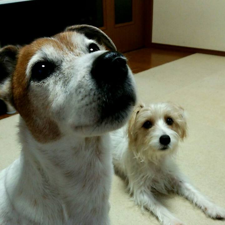 D3496119 eedb 4bbb a598 29589fdb633c