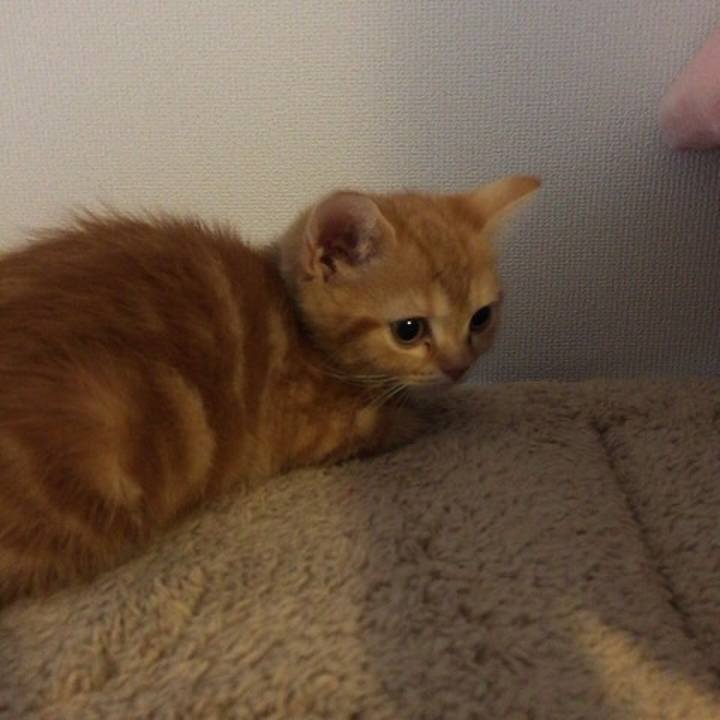 D349f5b4 e0f5 4a54 82bf 0e10e725fff3