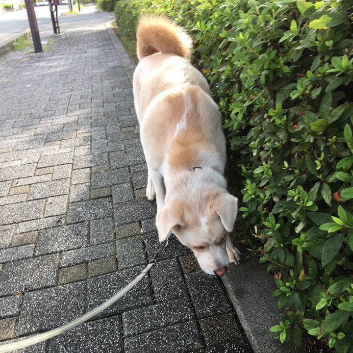 D34a4ee3 0d09 4c75 8e24 fd33461fa144