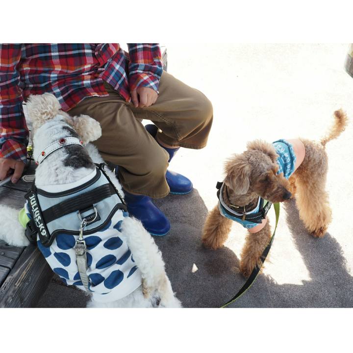 D34a53c5 7a47 4bde bc40 e14193189e25