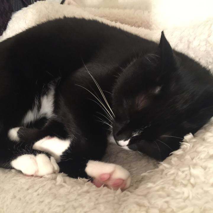 D34ac497 dbcb 4657 9679 6a32f4bb1f55