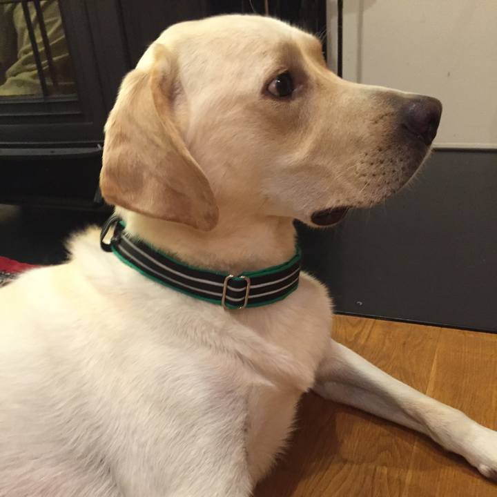 D34b8878 eb9b 4362 99a4 1c5a82e2a481