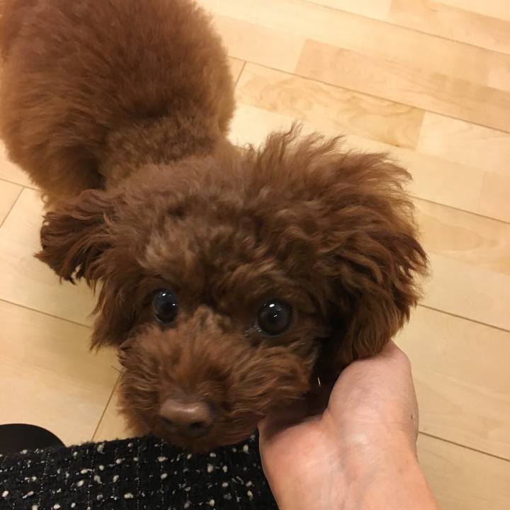 D34bb5b5 0ca0 486e 8812 29e18d917c0b