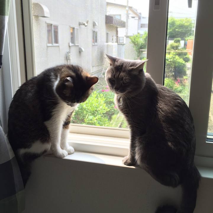 D34c1c29 659c 4f4d be6e d6c3b8ad9ebb