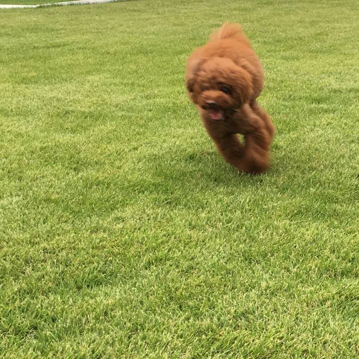 D34cf6b4 402f 40eb a503 5ef04561a4f1