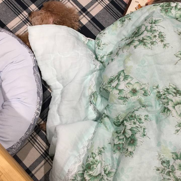 D34d3dee 1850 4aa6 b12f 4a1b4573725e