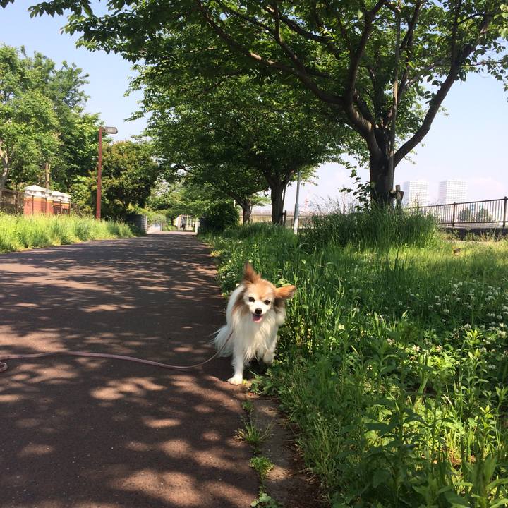 D34d64b9 b134 4211 b855 4f83d8f9b9b0