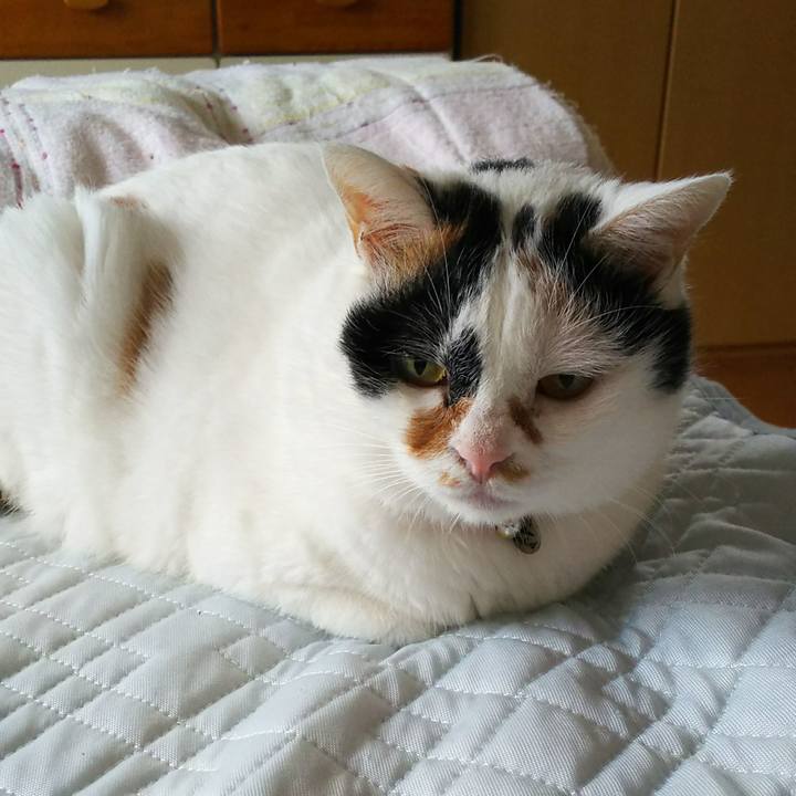 D34d7789 d78f 4ee5 9bb2 1fe62e285452