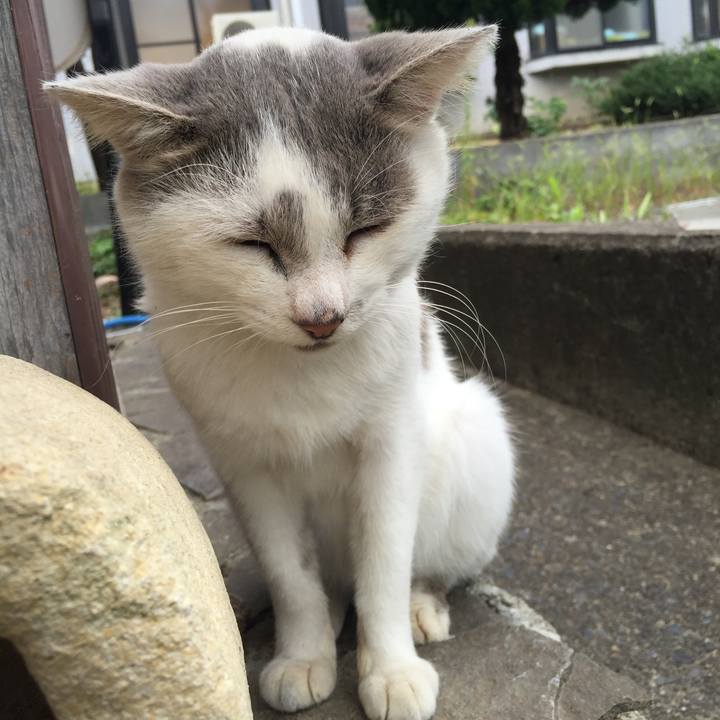 D34dfbe9 423b 46de b2c2 b8ca434c4e6f