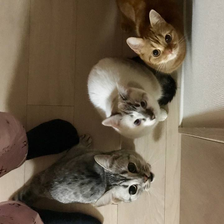 D34f5580 18ff 427d 8933 c52689d98a2b