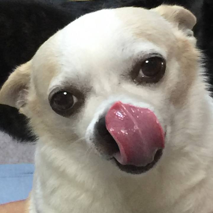 D35011a8 fd98 4b3e 9b09 838f3f9c2a45