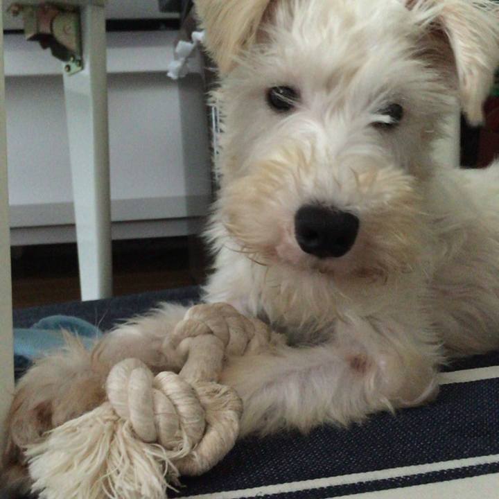 D3506c84 e1f7 490a b23a dce6ffd95f0a