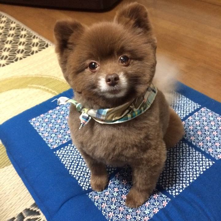 D350b71c 7b39 4447 a8db 235efc895c9f