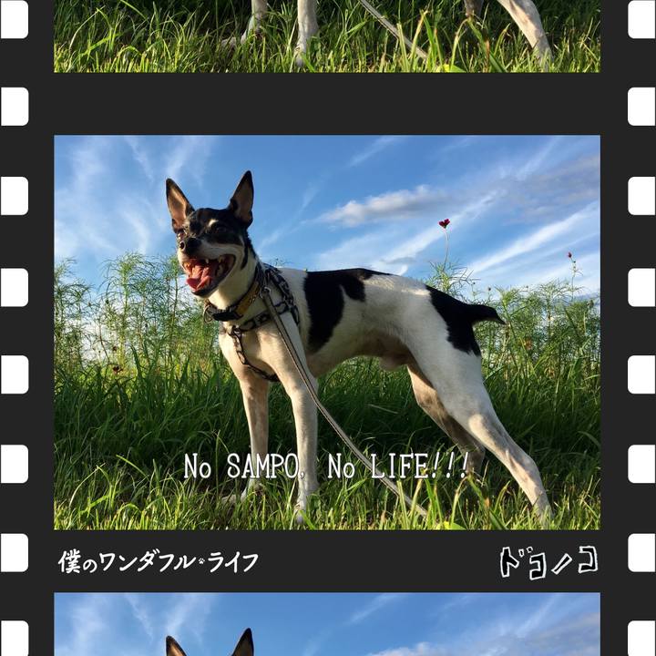 D351ba18 f6ea 45ad b873 00012abdd73c