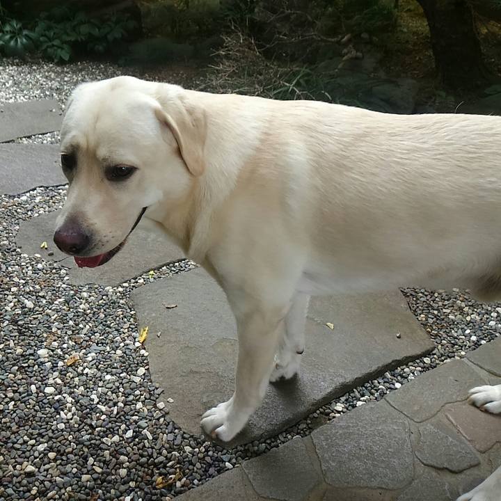 D351be31 297f 4371 a569 68010beb5ae6