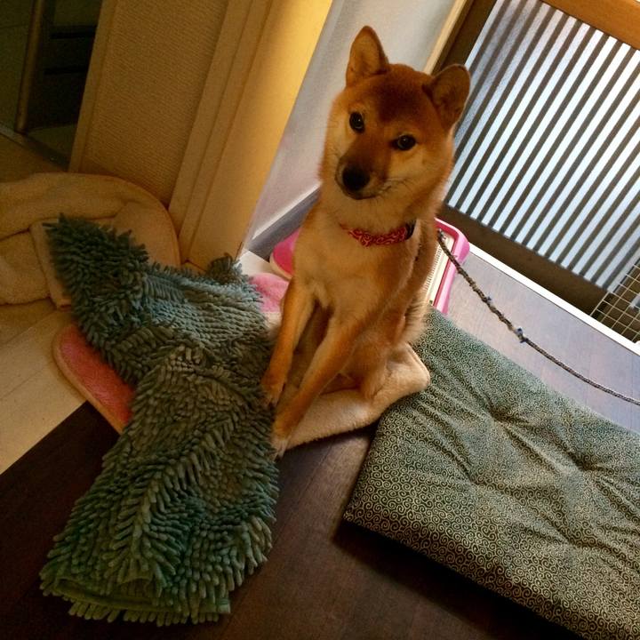 D351d932 71eb 44ed a7cb 2675cc9d8a20